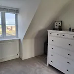 Cozy Retreat In Posh Hampton - Free Wi-Fi, Parking