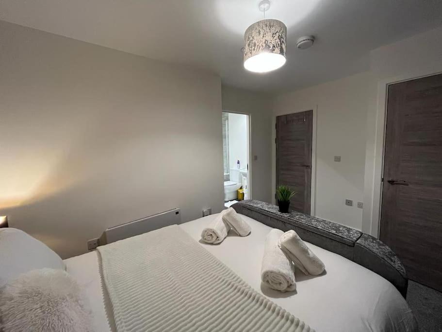 Bayard Luxe 2 Bedroom Penthouse Duplex *