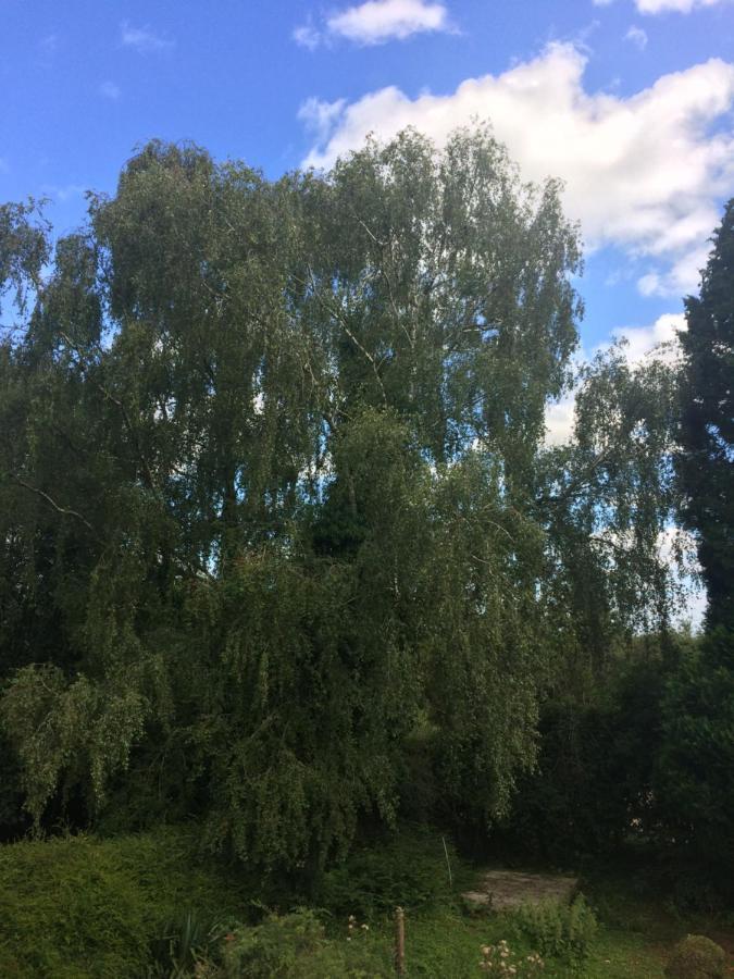 Thornleigh House Bed & Breakfast *