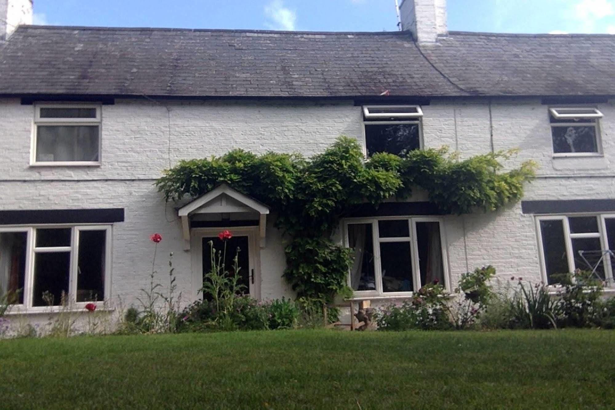 Guest house Mill House Peterborough