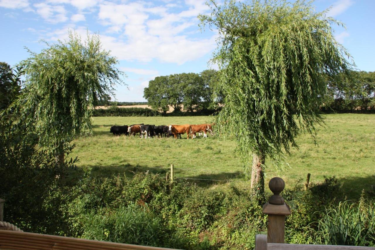 Bed & Breakfast Bridge 4*