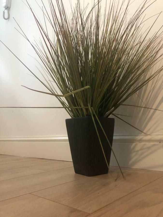 Apartment City Centre Vicarage *