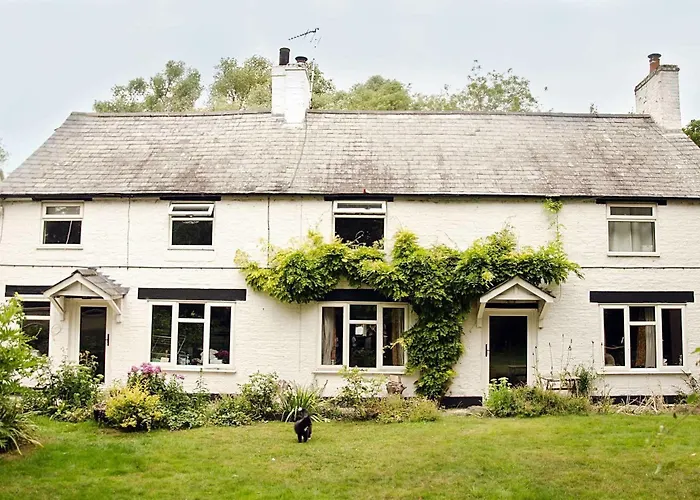 Mill House