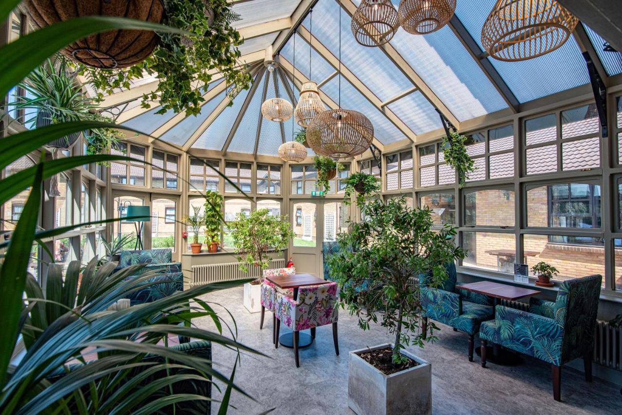 Dragonfly Hotel