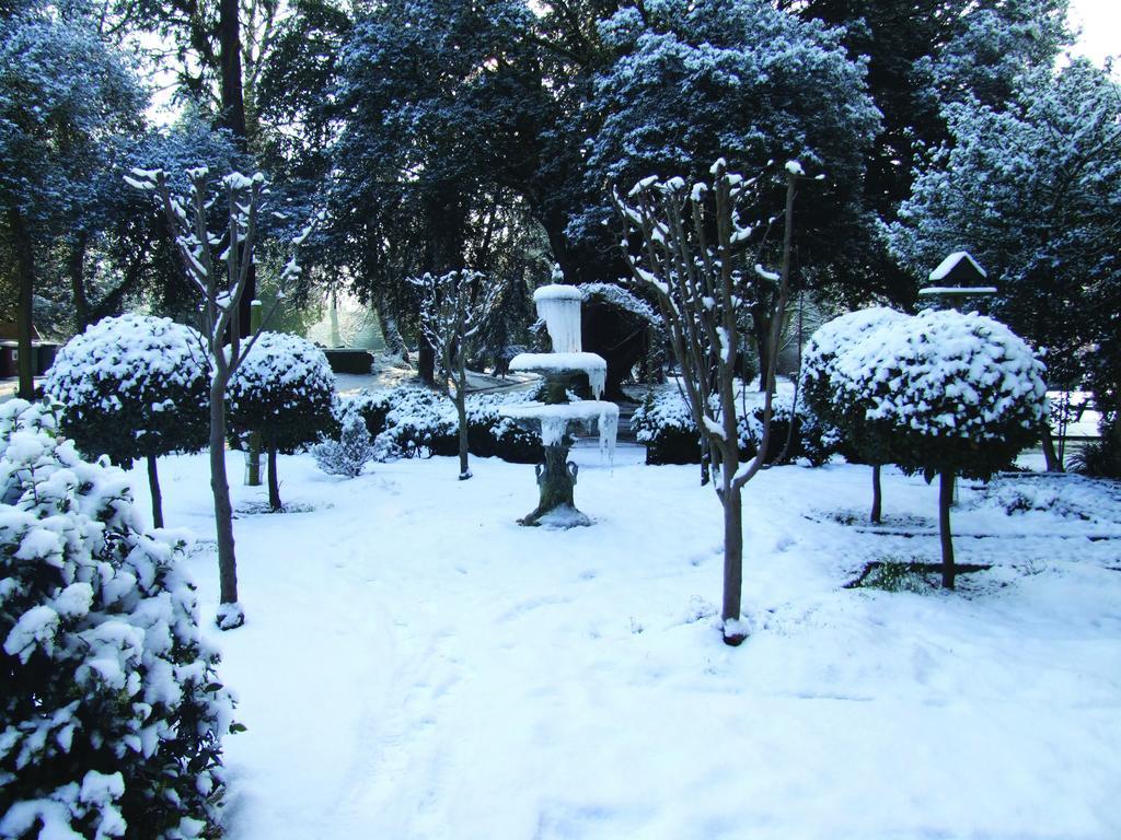 Hotel Orton Hall & 4*